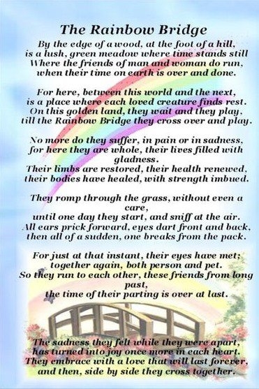 Rainbow Bridge poem